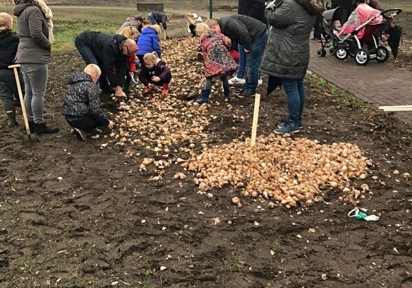 bollen-planten-met-bewoners_nijedaip